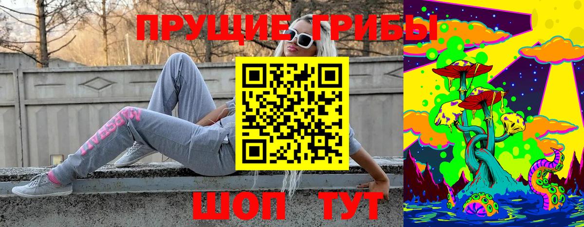 Кириши  Псилоцибиновые грибы ЛСД  Псилоцибиновые грибы Magic Shrooms  Вход с VPN 