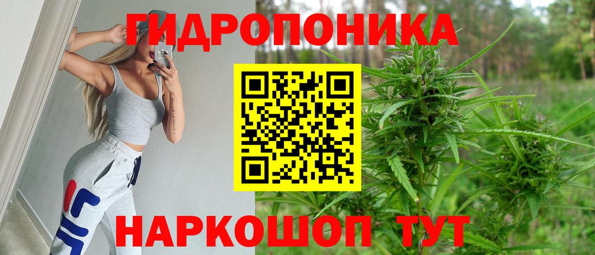 Бошки Шишки MAZAR  Каннабис планчик  Вход с VPN  Кириши  Конопля THC 21% 
